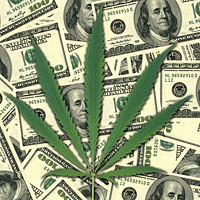 sheet-of-money-hemp